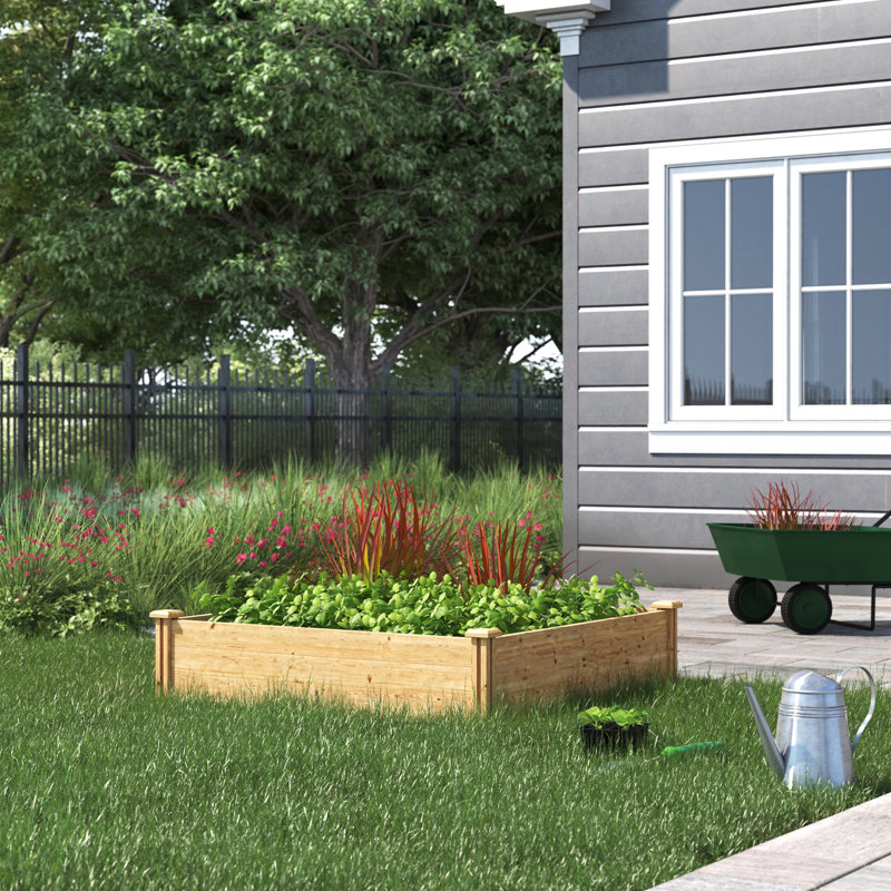 Sol 72 Outdoor™ Ellar Wood Raised Garden Bed & Reviews Wayfair